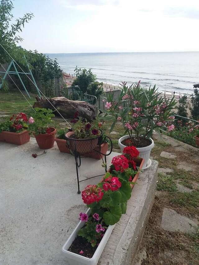Гостевой дом Къщи за ваканция на брега Варна-21
